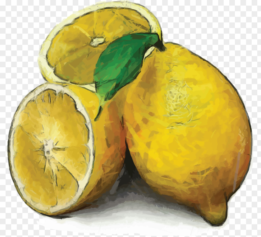 Lemon Watercolor Painting Still Life PNG