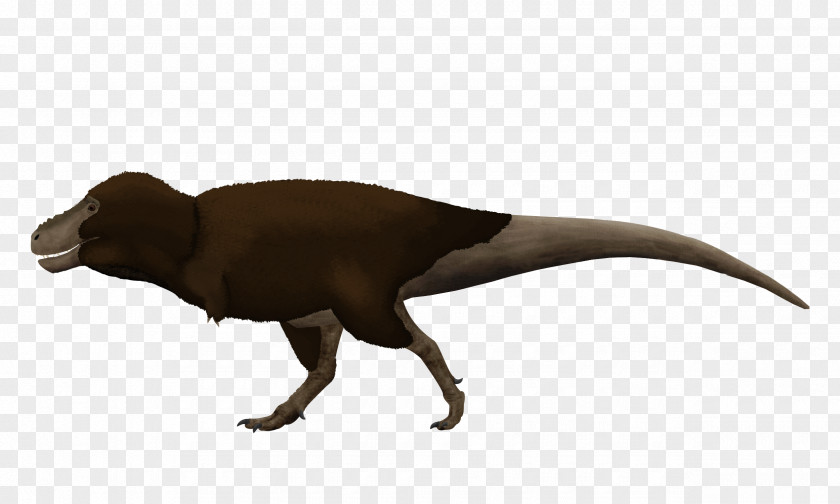 Tyrannosaurus Saurian Daspletosaurus Triceratops Dinosaur PNG