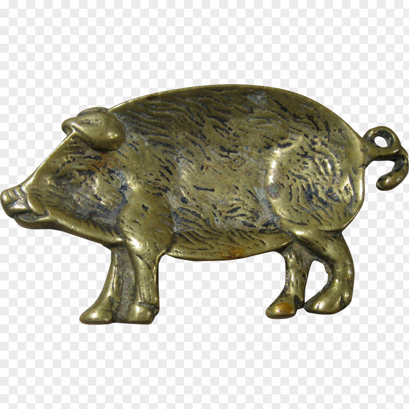 Boar Pig Bronze Terrestrial Animal Snout PNG