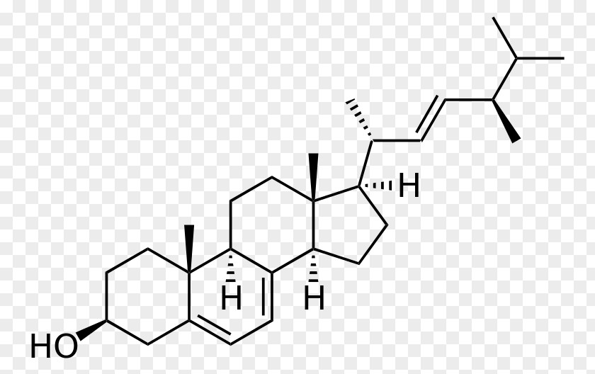 Ergosterol Cholesterol Molecule Cortisol Steroid PNG