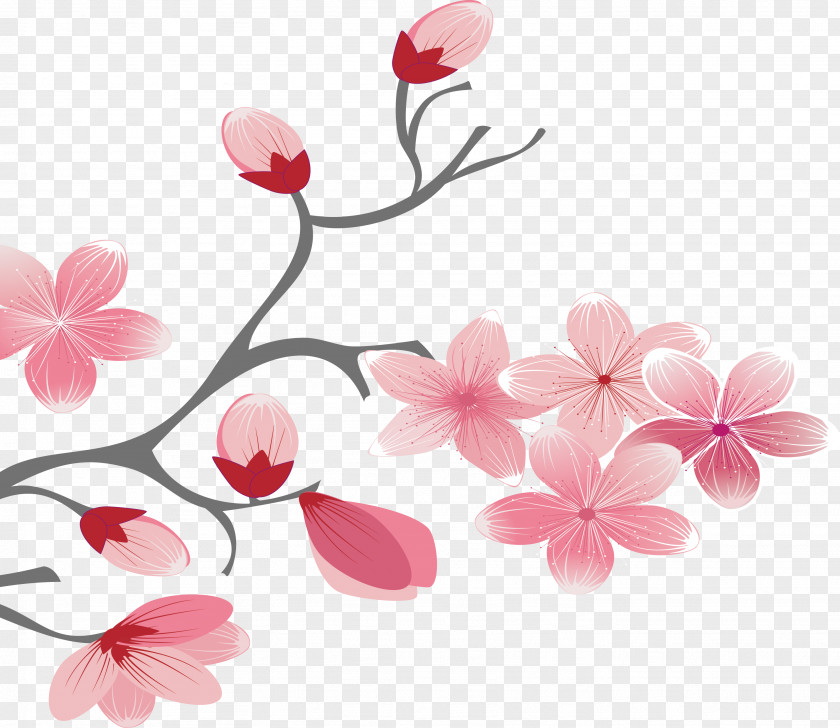 Hand-painted Pink And Elegant Cherry Blossoms Blossom PNG