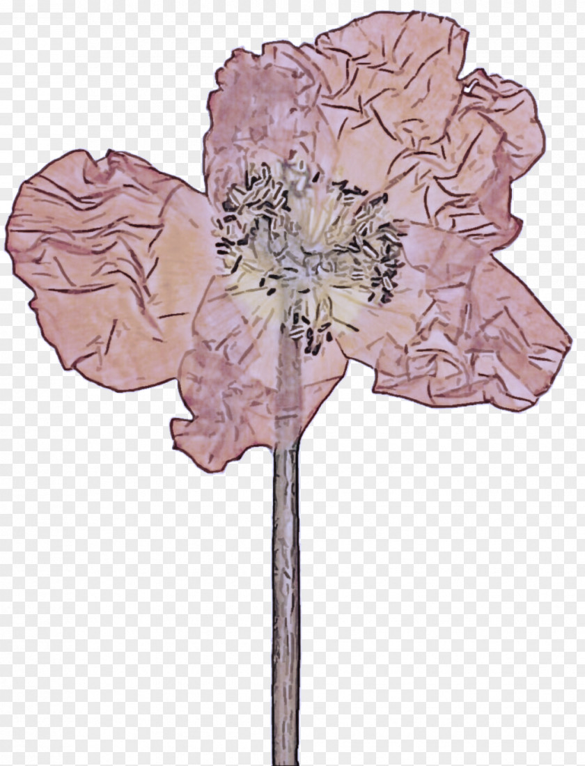 Plant Stem Petal Flower Leaf Pink Tree PNG