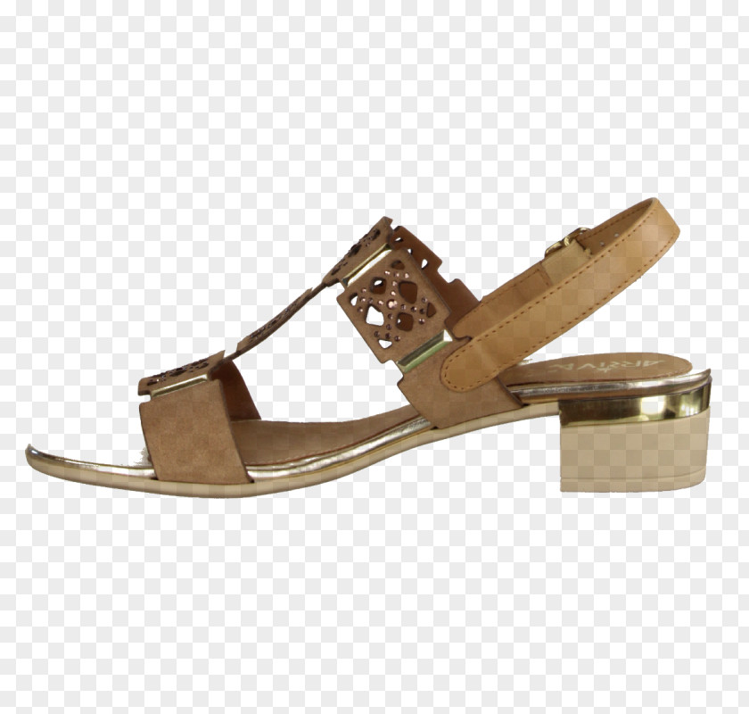 Sandal Slide Shoe PNG