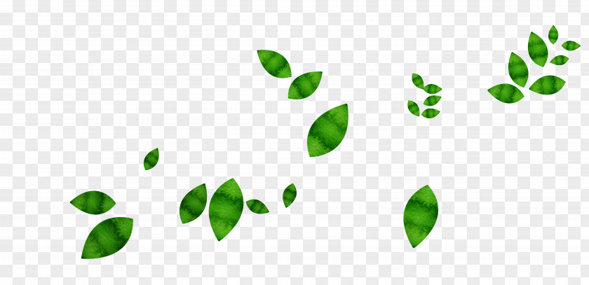 Floating Green Leaves Leaf PNG