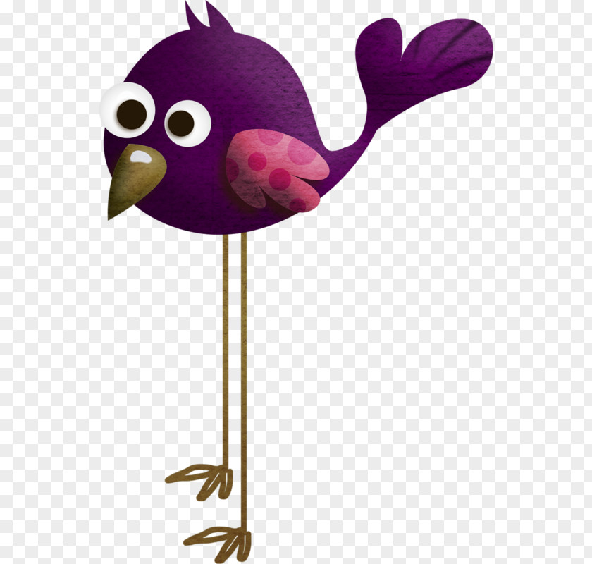 Illustration Oiseaux Bird Clip Art Beak Cartoon PNG