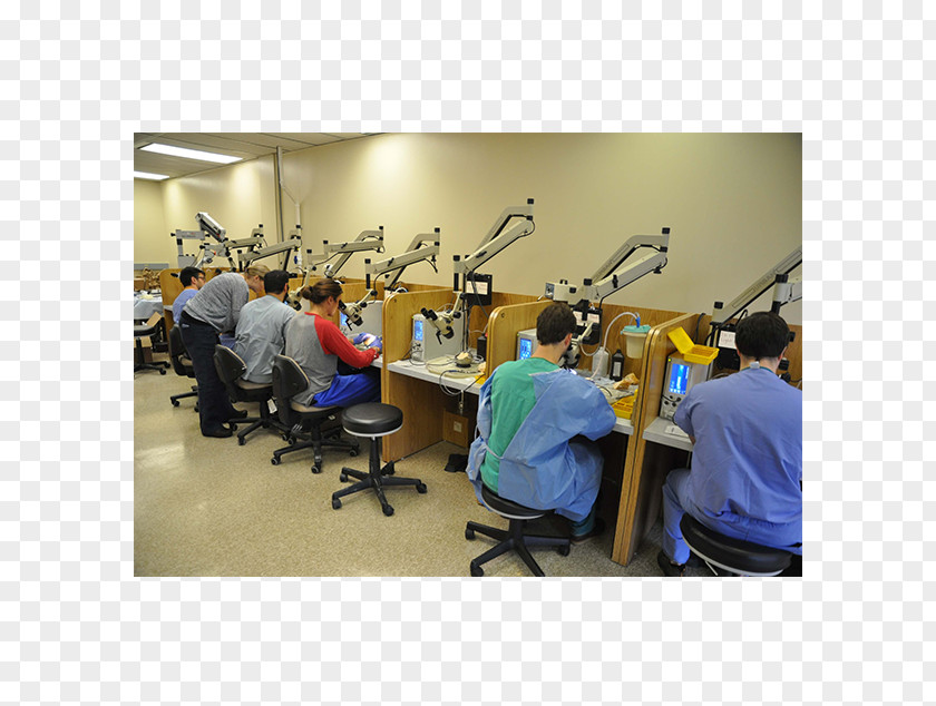 Memorial Weekend Temporal Bone Dissection Course University Of Tennessee PNG