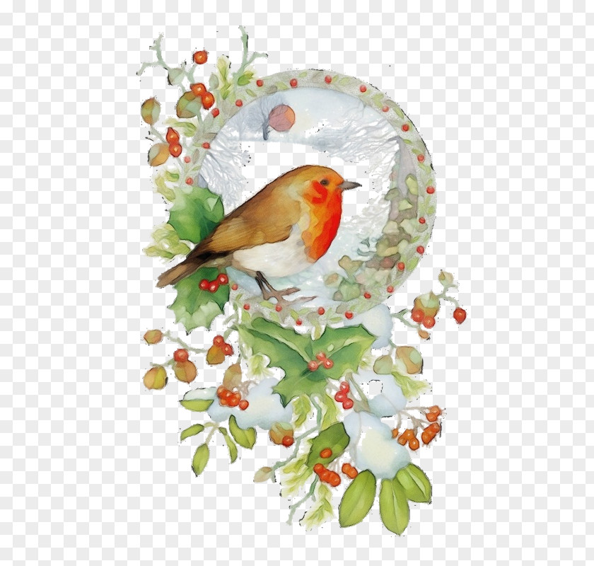 Old World Flycatcher Plant Holly PNG