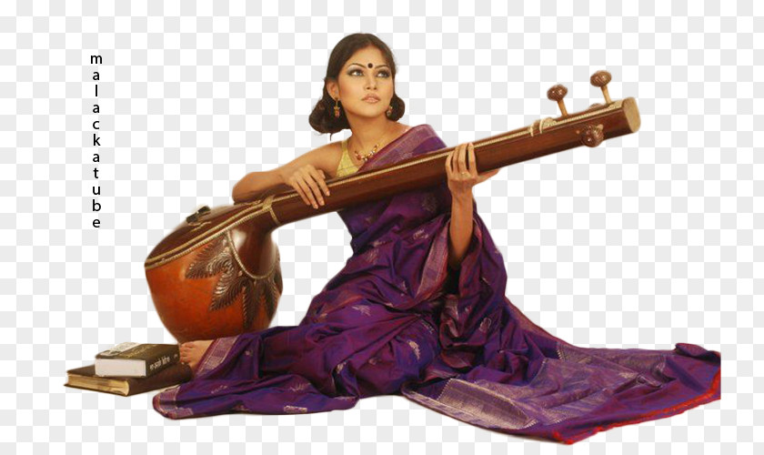 Bind Tangail Saree Kutir Rudra Veena Sari Musical Instruments PNG