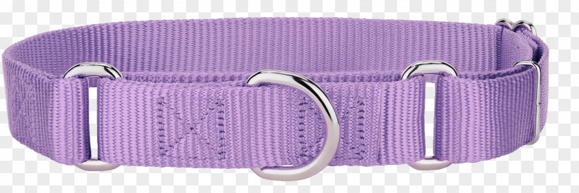 Dog Collar Martingale Leash PNG