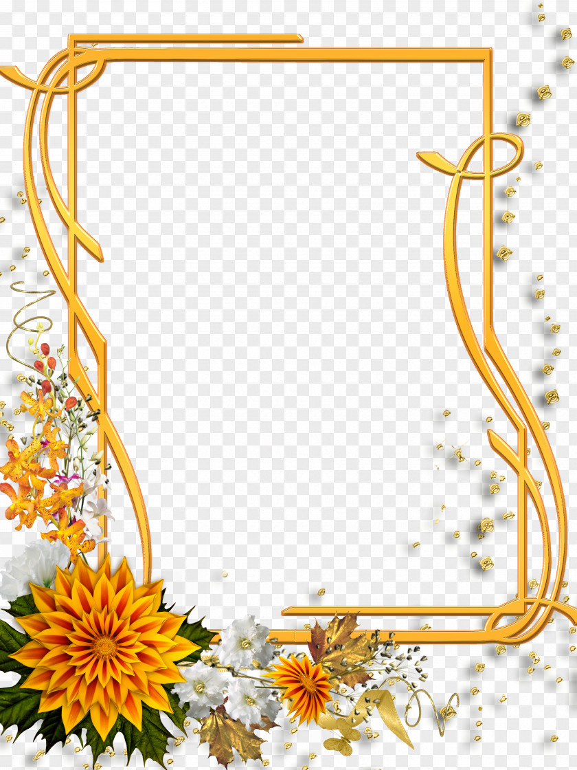 Gold Frame Picture Frames Image Editing Clip Art PNG