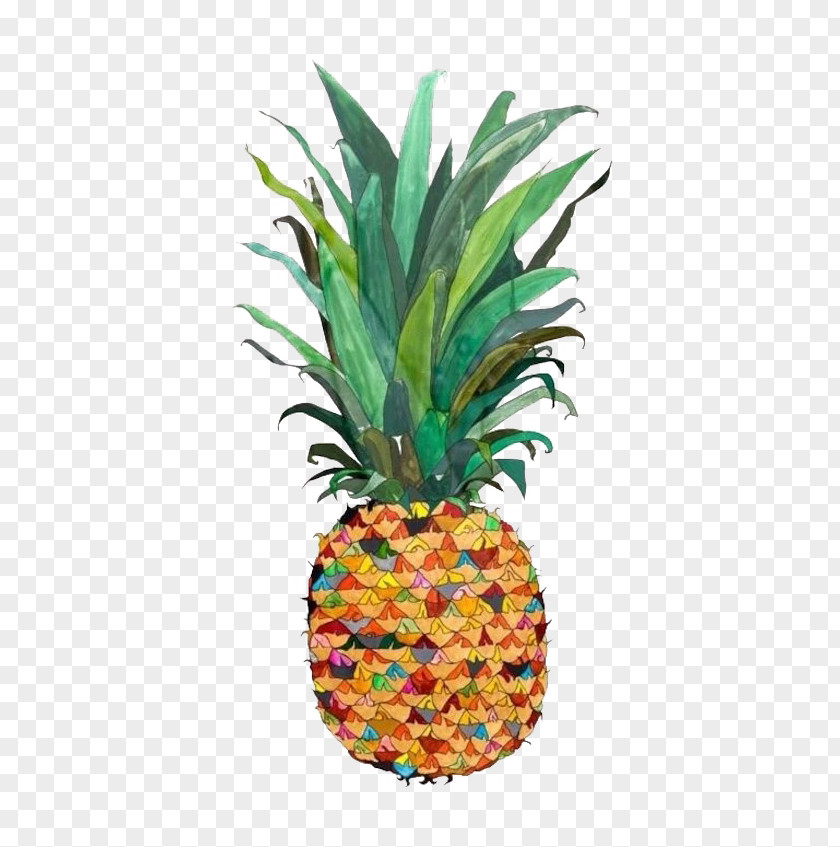 Hand Colored Pineapple Drawing Watercolor Painting Illustration PNG