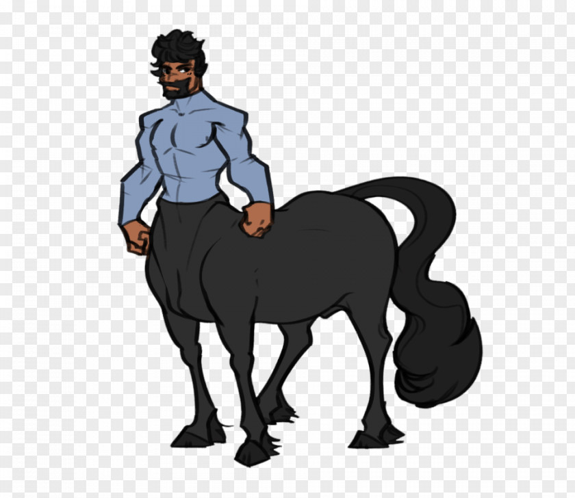 Mustang Pony Hackney Horse Tracer Drawing PNG