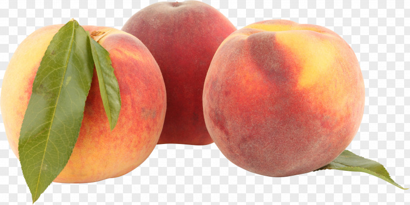 Peach Image Nectarine Fruit Ripening Food PNG