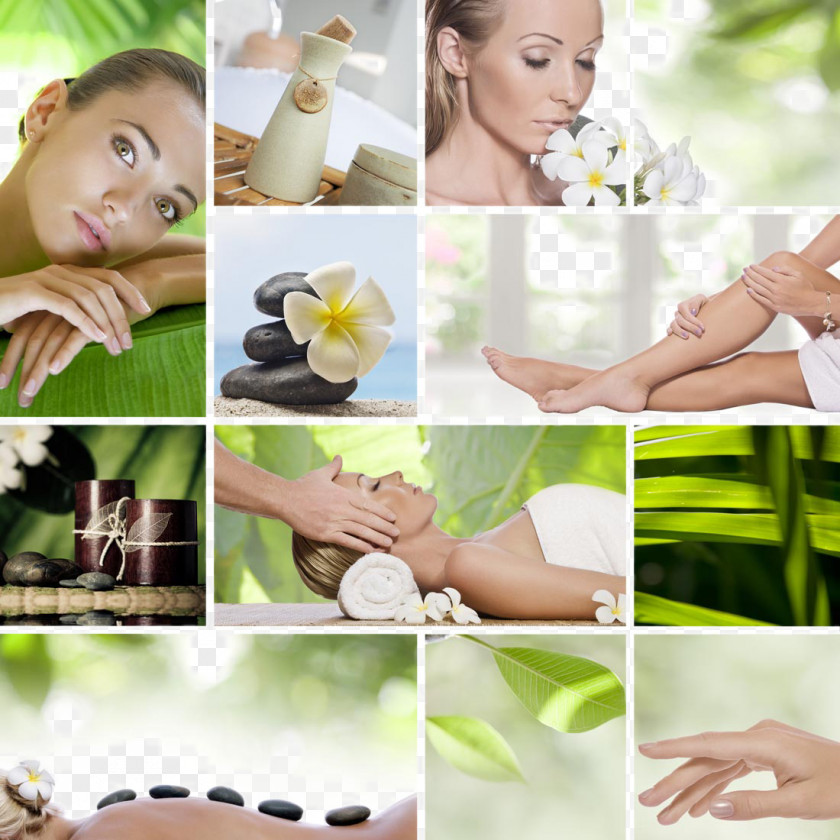 SPA Health Material Aesthetics Beauty Parlour Massage Eko Center Centro Estetico PNG