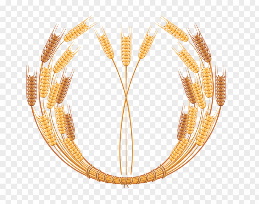 Vector Golden Wheat Border Crop Clip Art PNG