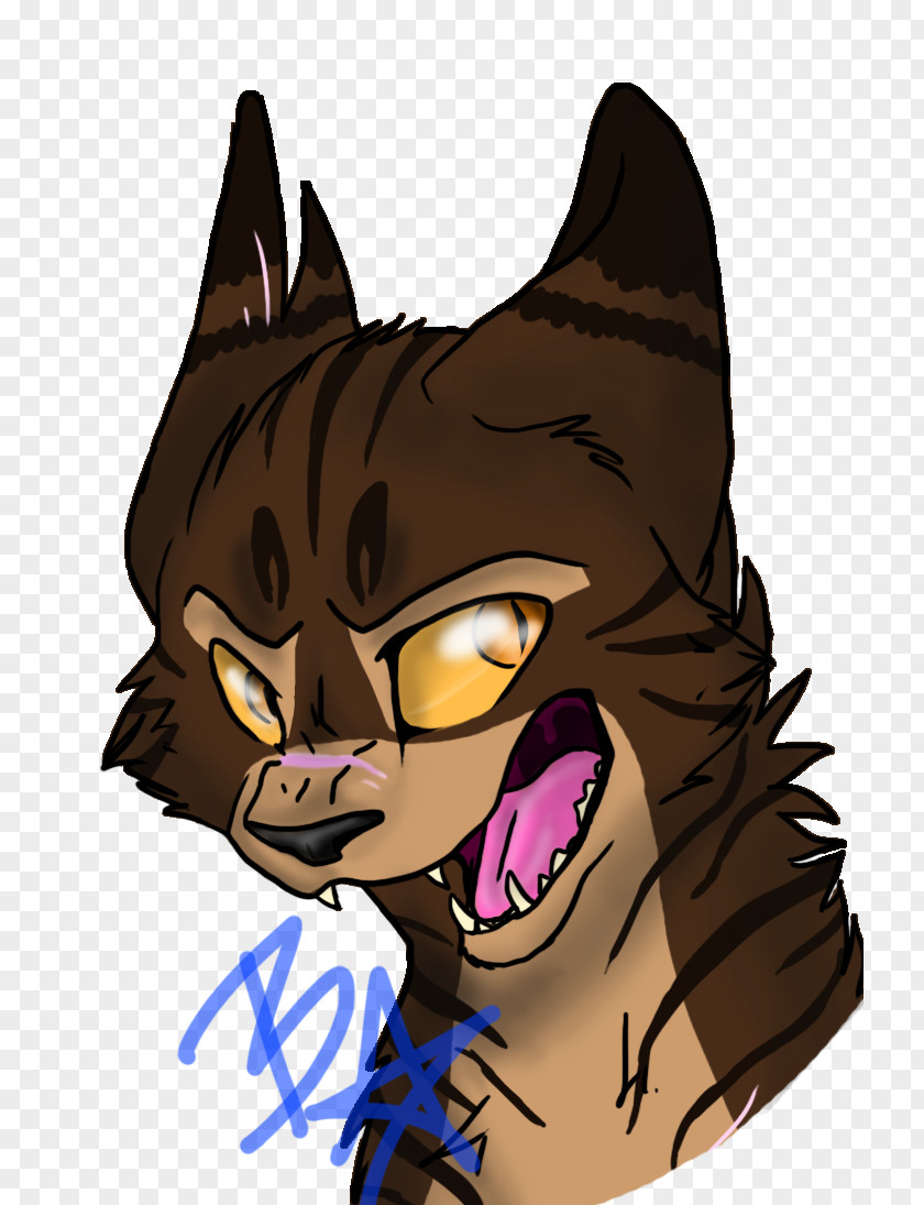 Cat Whiskers Warriors Fan Art Tigerstar PNG