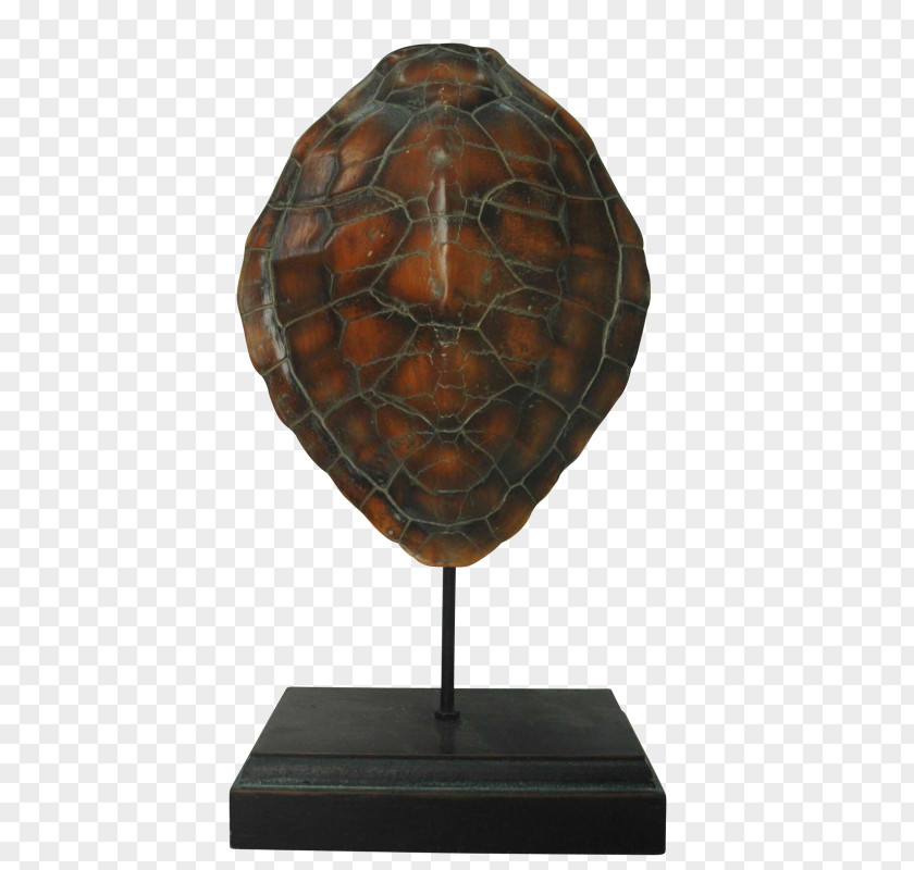 European Decorative Pattern Pond Turtles Wood Tortoise /m/083vt Lighting PNG