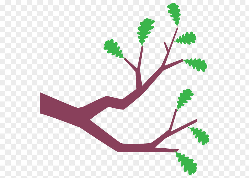 Branch Illustration Design Drawing Image PNG