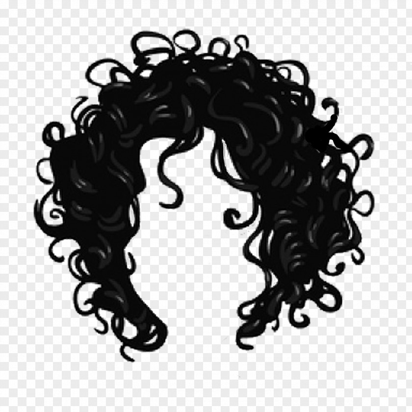 Hair Beauty Parlour The Curl Ambassadors Curly Salon Image Barrette PNG