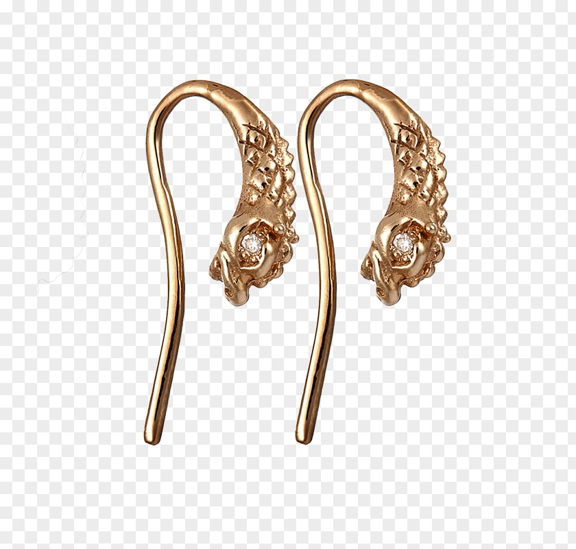 Jewellery Earring Body Metal PNG