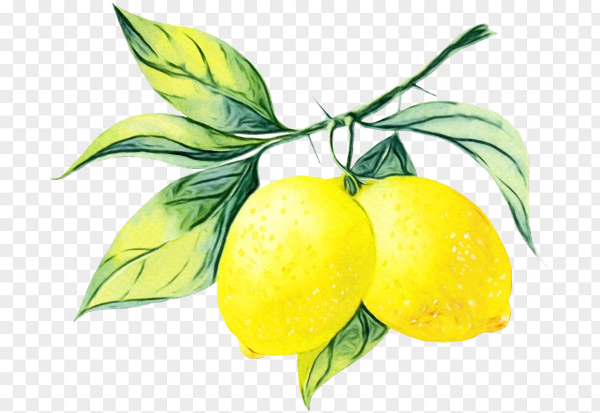 Lemon Juice PNG