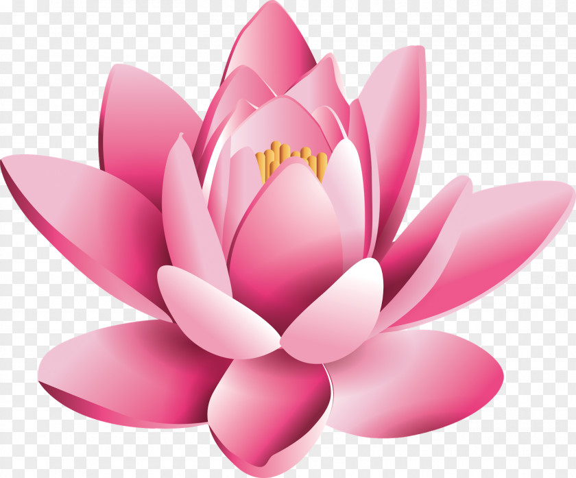 Lotus Flower Chakra Manipura Hinduism Energy PNG