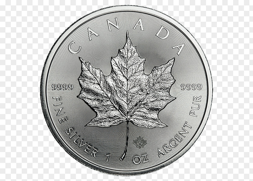 Metal Quality High-grade Business Card Canadian Silver Maple Leaf Gold Bullion Coin PNG