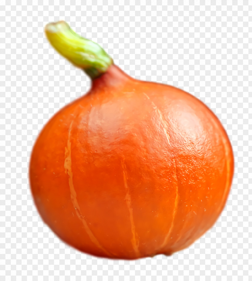 Orange PNG