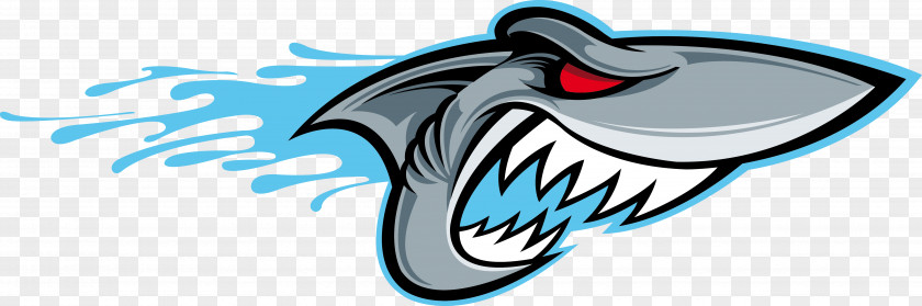 Sharks Shark Logo Clip Art PNG