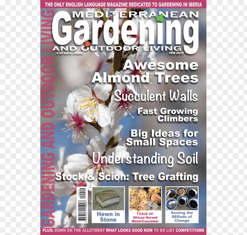 Succulent Corner Magazine Recreation PNG