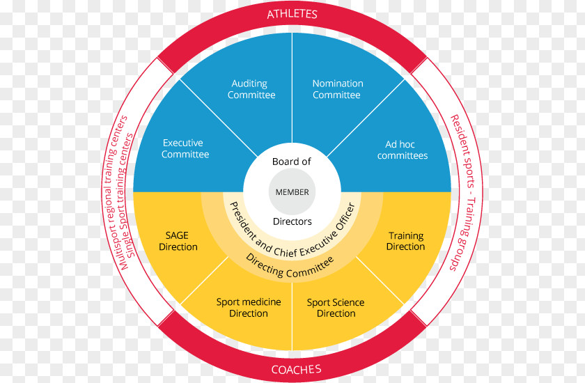 Verizon Board Of Directors Chart Organization Sports Association Governance National Olympic Committee PNG