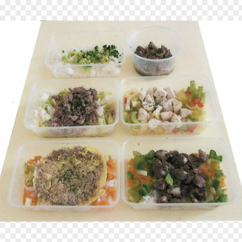 Dog Vegetarian Cuisine Tiffin Carrier Bakery Meal Lunch PNG