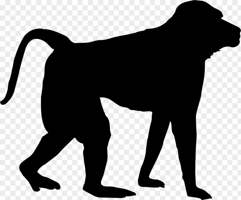 Monkey Chimpanzee Icon Design PNG