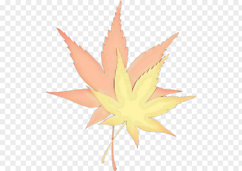 Perennial Plant Flowering Red Maple Tree PNG