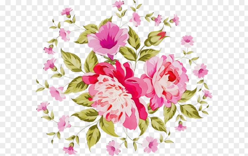 Pink Family Prickly Rose Watercolor Flowers PNG