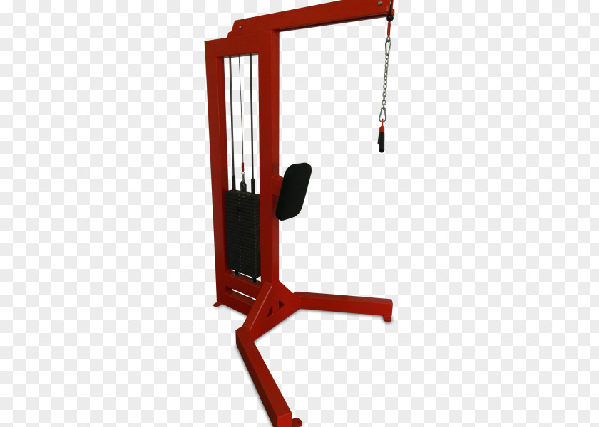 Triceps Pushdown Brachii Muscle Weight Training Cable Machine PNG