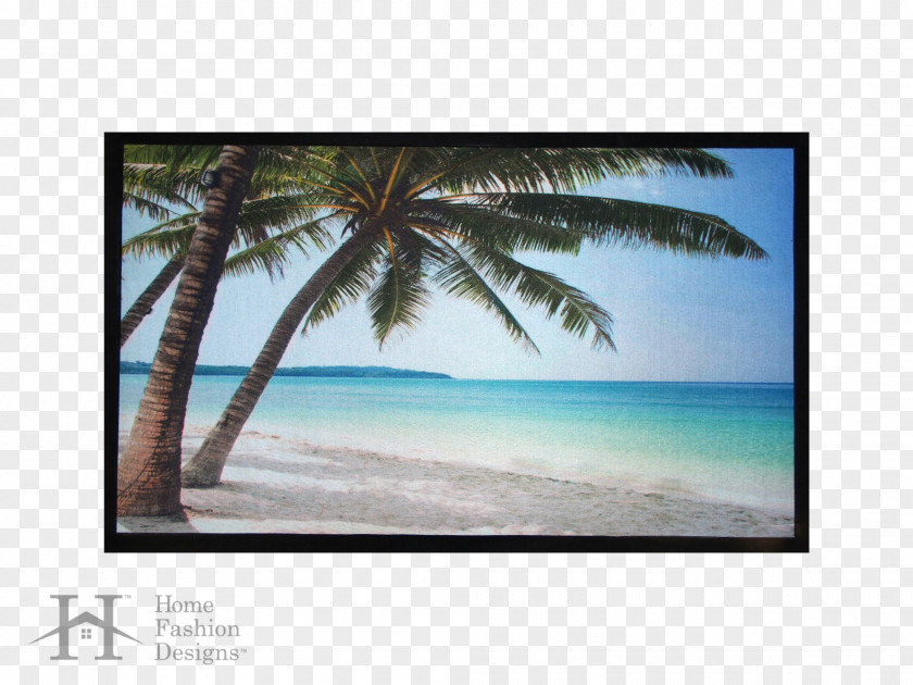 Beach Mat Arecaceae Shore Picture Frames PNG