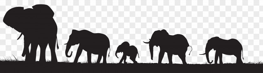 Elephants Silhouette Clip Art Image Elephant PNG