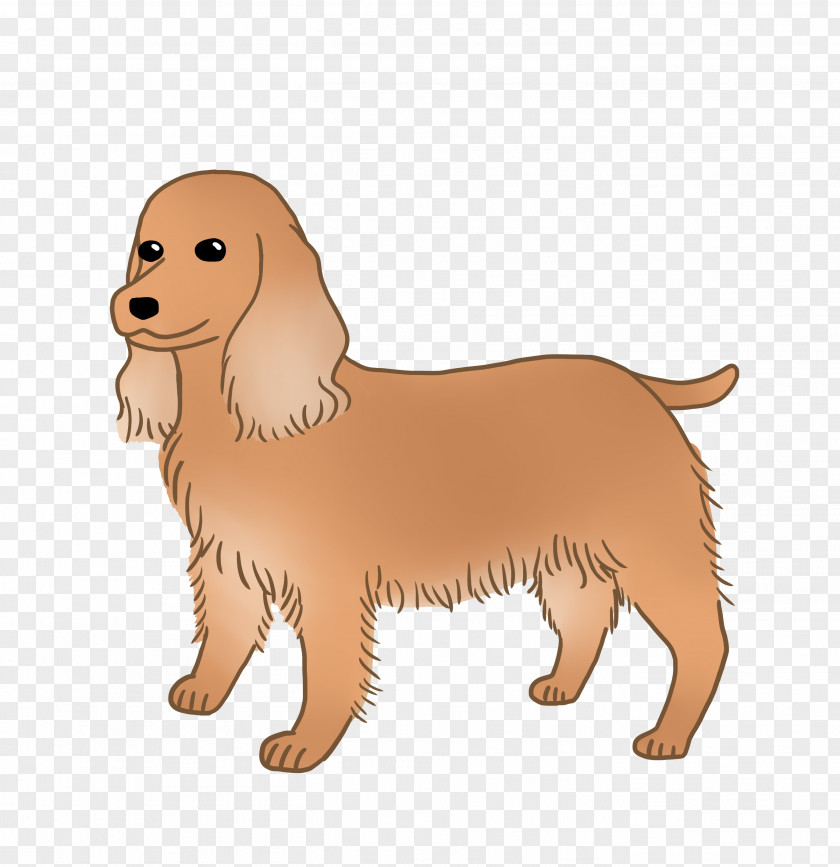 English Cocker Spaniel Golden Retriever Puppy Dog Breed Sporting Group PNG