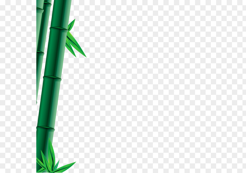 Green Bamboo Bambusa Oldhamii Bamboe Computer File PNG