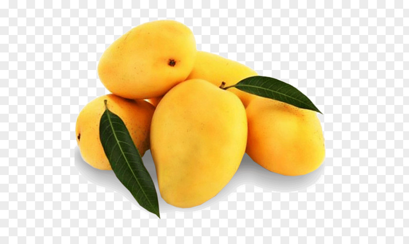 Mango Lucknow Fruit Alphonso Juice PNG