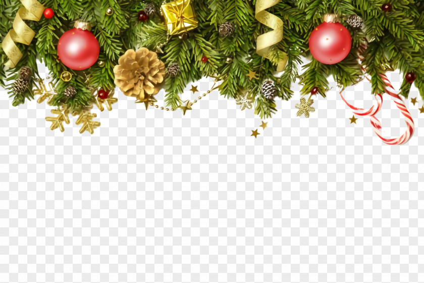 Spruce Plant Christmas Decoration PNG
