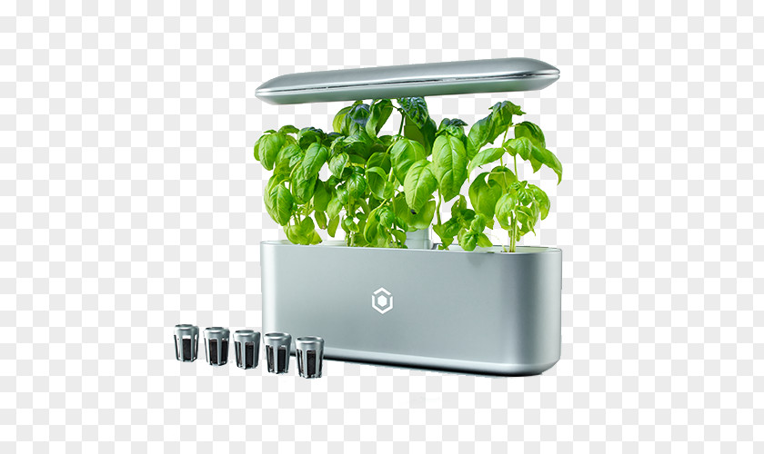 Vegetable Plant Gardening Hydroponics Garden Design Kitchen PNG