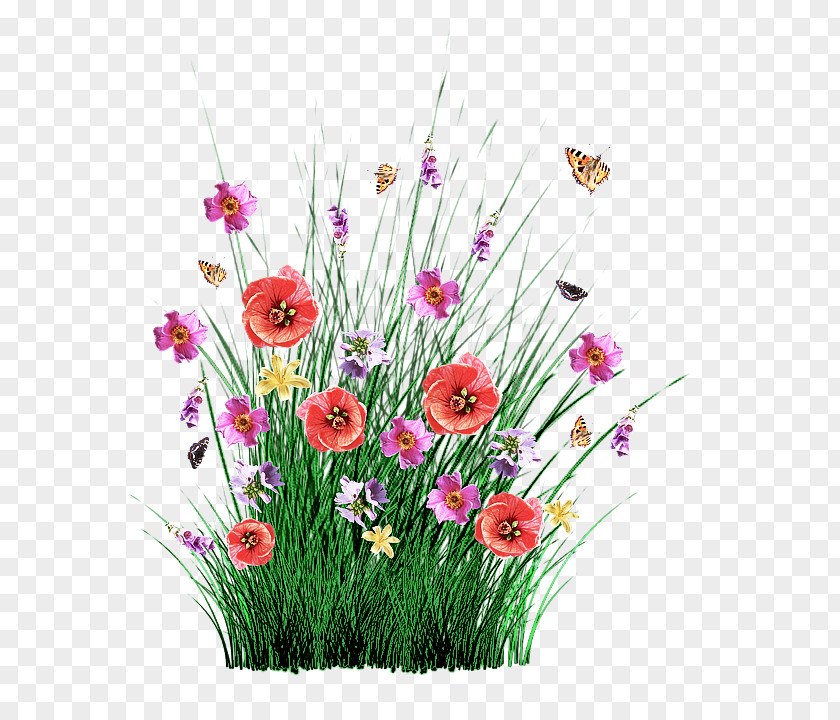 Wildflower Pink Floral Design PNG