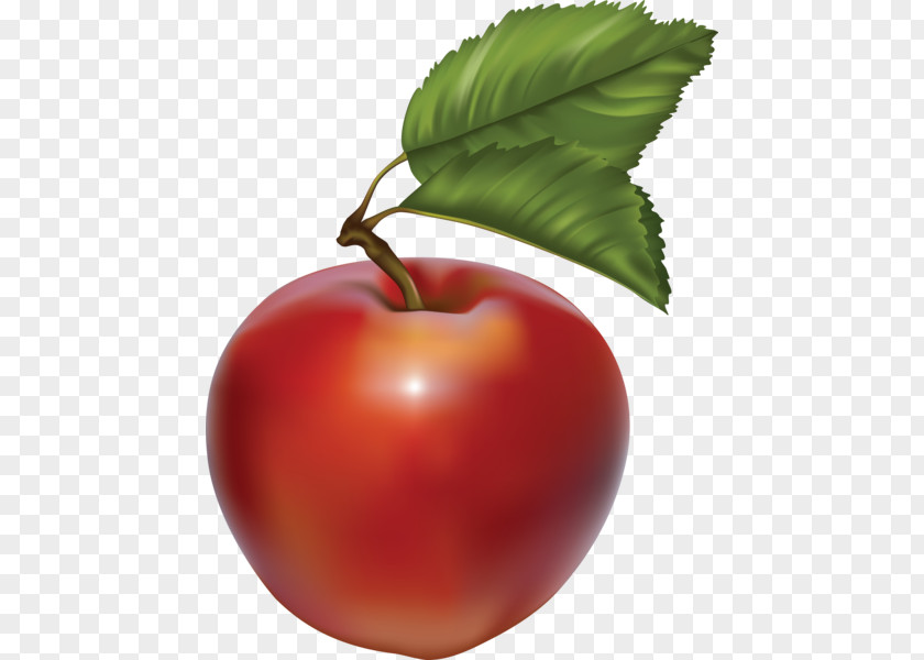 Apple Macintosh Clip Art Image PNG