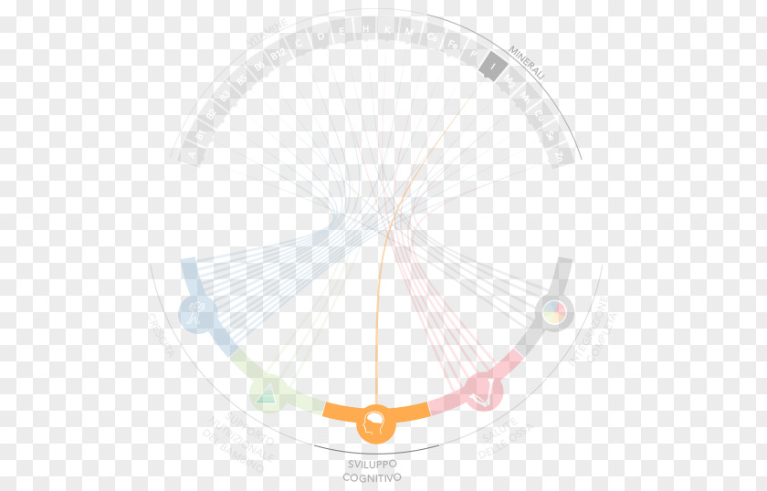 Babby Infographic Product Design Angle Circle PNG