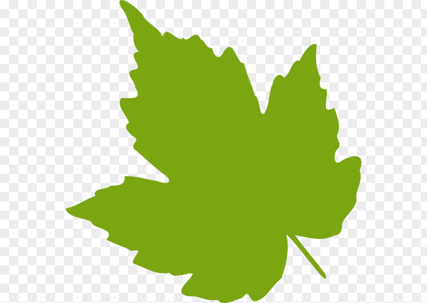 Cartoon Leaves Grape Grapevines Leaf Clip Art PNG