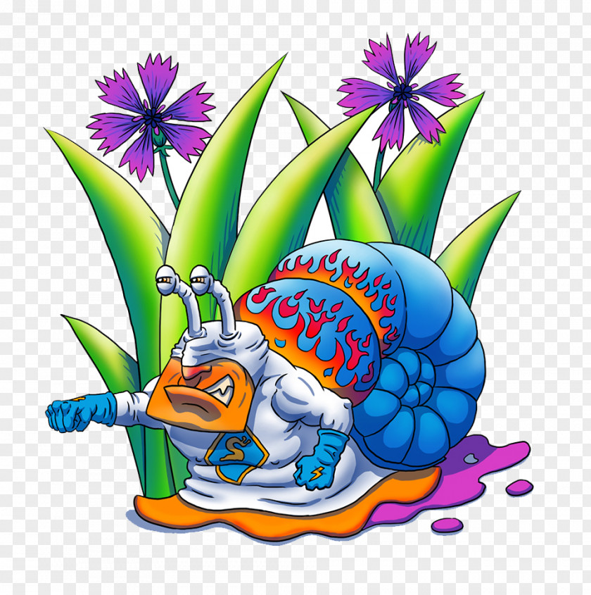 Color Snail Illustration PNG