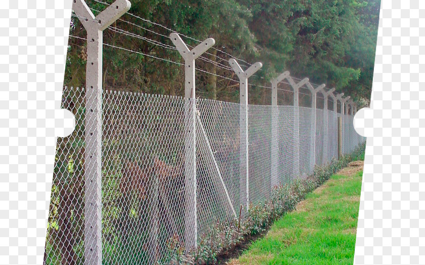 Fence Chain-link Fencing Land Lot Real Property PNG