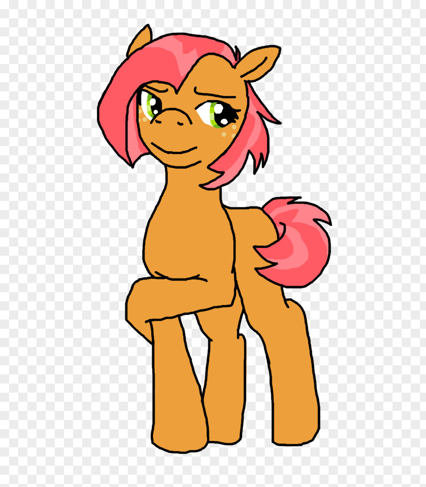 Pony Digital Art Fan DeviantArt PNG